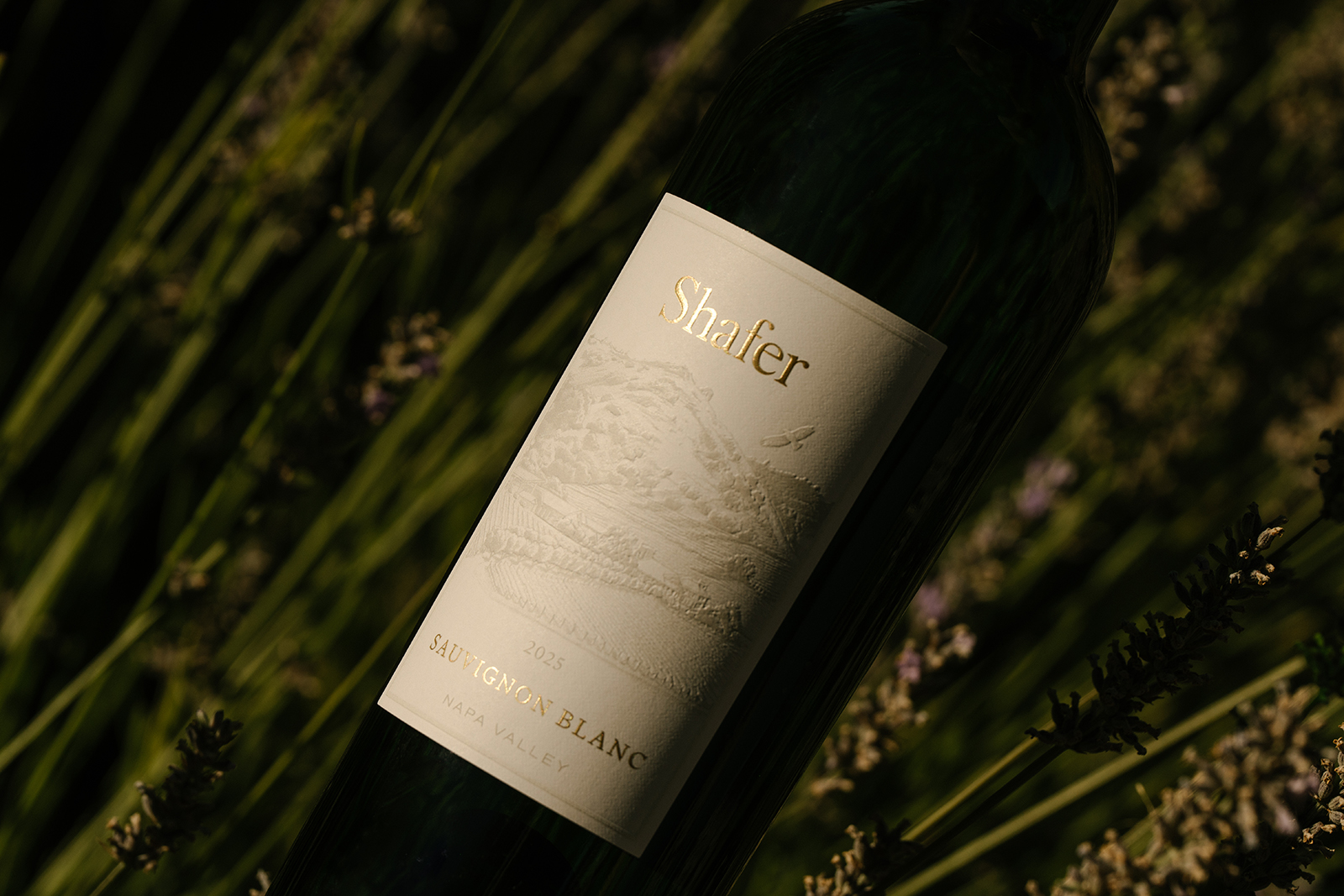 Carneros vineyard